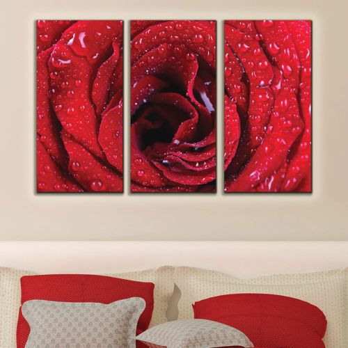 Canvas wall art with red rose