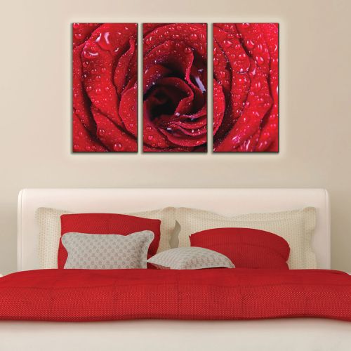 Wall decoration set red rose
