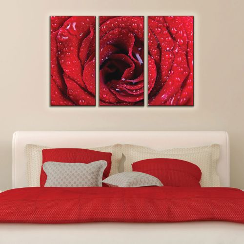 Wall decoration set red rose