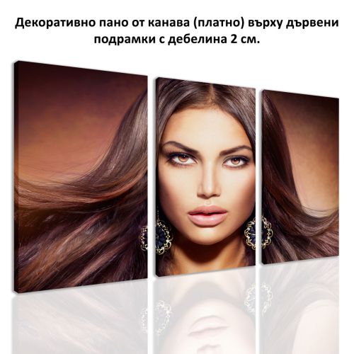 0583 Картина пано от 3 части Блясък от канава