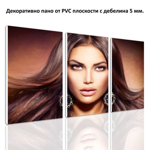 0583 Картина пано от 3 части Блясък от PVC