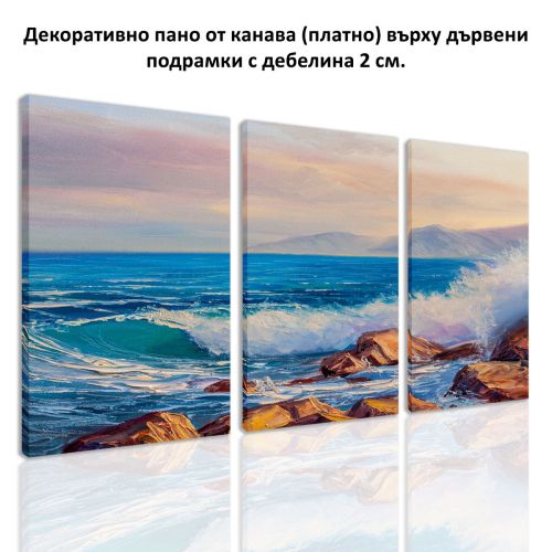 0886 Картина пано от 3 части Море от канава