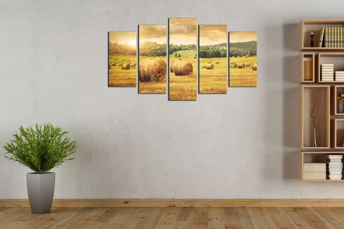 Canvas wall art with field and sunset