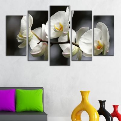 0324 Картина-пано от 5 части Бели орхидеи на сив фон