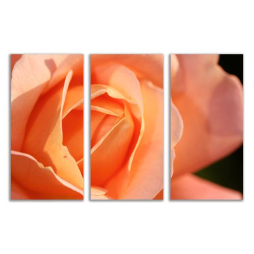 Картина-пано от 3 части, Материал: PVC, общ размер: 64х40 см. SALE0072 за спалня