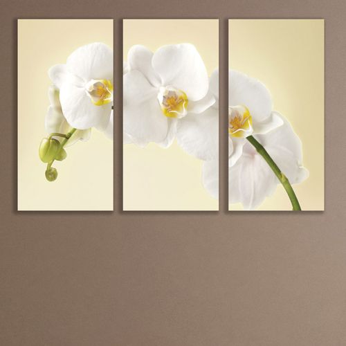 0347 Wall art decoration (set of 3 pieces)  Gentle white orchid