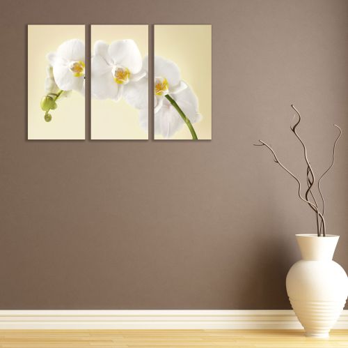 Canvas wset of 3 pieces beautiful white orchid