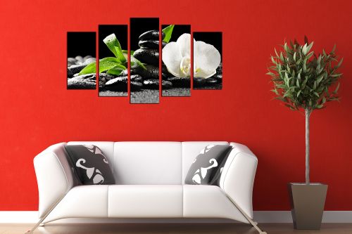 white orchid canvas wall art