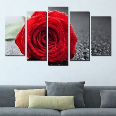 Картинa от 5 части с червена роза