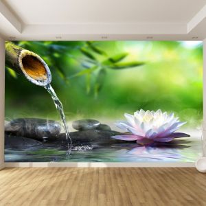 T0519 Фототапет Дзен композиция в зелено