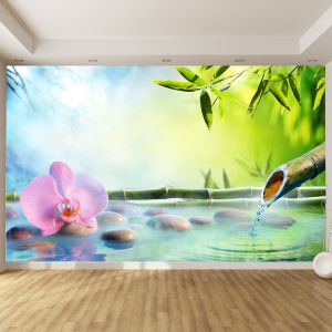 T0863 Фототапет Дзен композиция