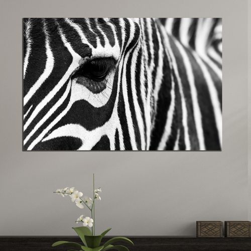 Wall art decoration black and white Zebra