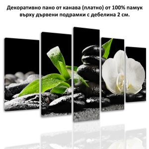 SALE0355CS Картина-пано от 5 части, Материал: канава, размер S 108x60 см. 