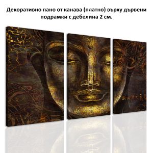 SALE0905 Картина-пано от 3 части, Материал: Канава, общ размер: 94х60 см.