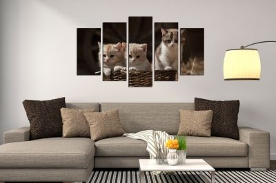 Декоративно пано от 5 картини в кафяво с котета