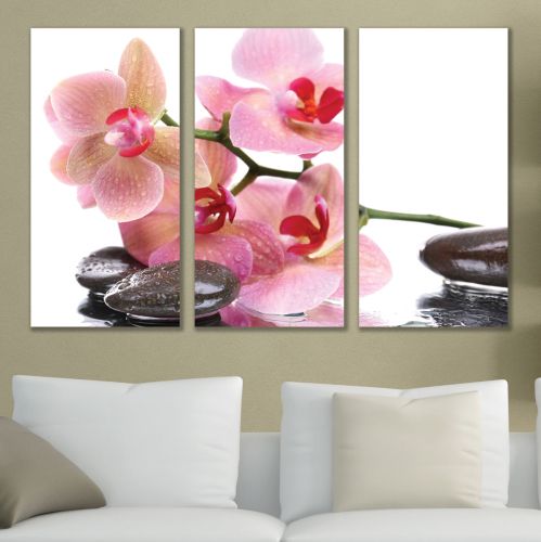 Canvas wall art with pink orchids on white background