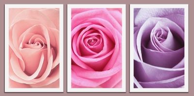0073 Комплект от 3 картини Рози, рози, рози ...