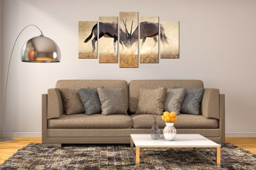 canvas wall art set Collision antelopes