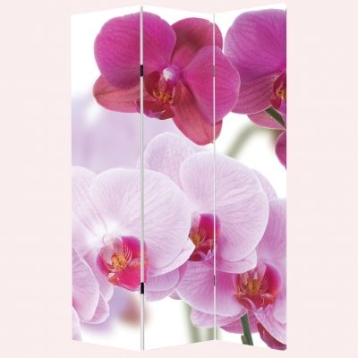 Декоративен параван за стая Красиви орхидеи