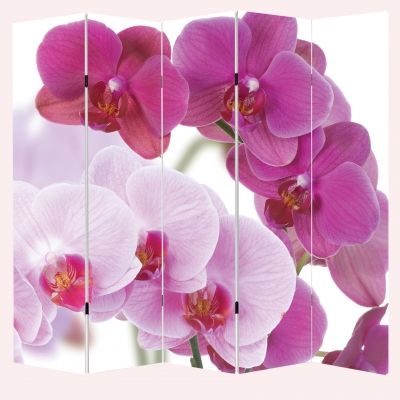 Параван за стая Красиви орхидеи