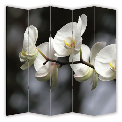 P0149 Decorative Screen Room devider Pretty woman (3,4,5 or 6 panels)