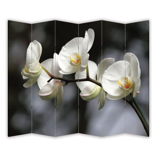 P0149 Decorative Screen Room devider Pretty woman (3,4,5 or 6 panels)