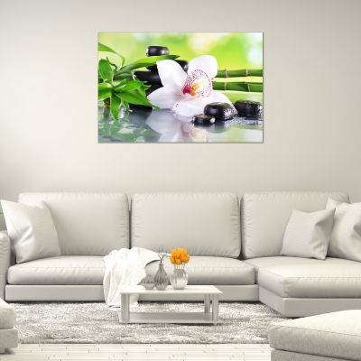 Картина с бяла орхидея на зелен фон