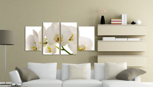 0087 Canvas 4 parts White orchid