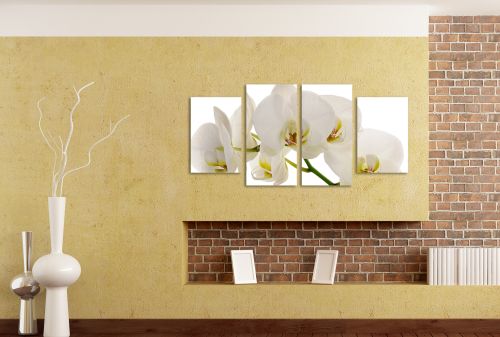 0087 Canvas 4 parts White orchid