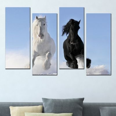 Картина с черен и бял кон за всекидневна или офис