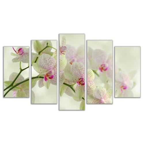 0093 Wall art decoration (set of 5 pieces) White orchids