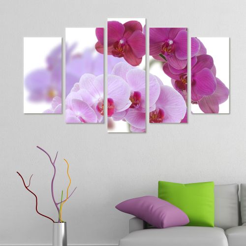 0099 Wall art decoration (set of 5 pieces) Beautiful orchids