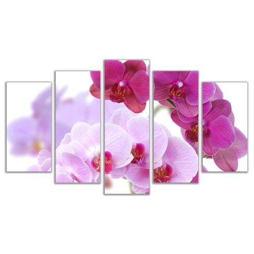 0099 Wall art decoration (set of 5 pieces) Beautiful orchids