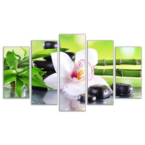 0162 Wall art decoration (set of 5 pieces) White orchid with reflection