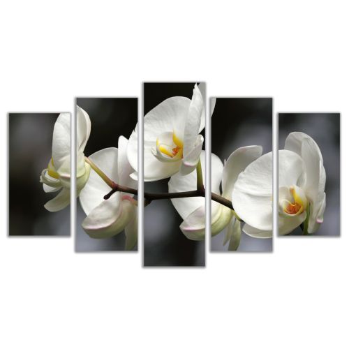 0324 Wall art decoration (set of 5 pieces) White orchids on grey background