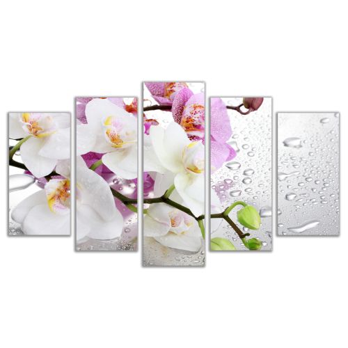 0326 Wall art decoration (set of 5 pieces) White and purple orchids