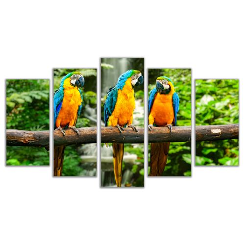 0429 Wall art decoration (set of 5 pieces) Parrots