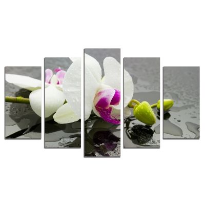0439 Картина-пано от 5 части Бяла орхидея