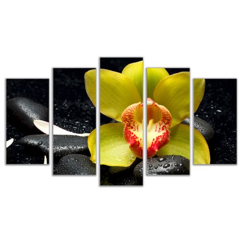 0456 Wall art decoration (set of 5 pieces) Yellow orchid