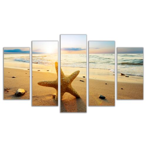 0524 Wall art decoration (set of 5 pieces) Starfish