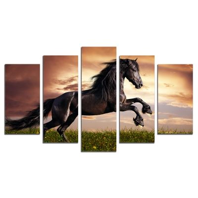 0549 Wall art decoration (set of 5 pieces) Wild horse