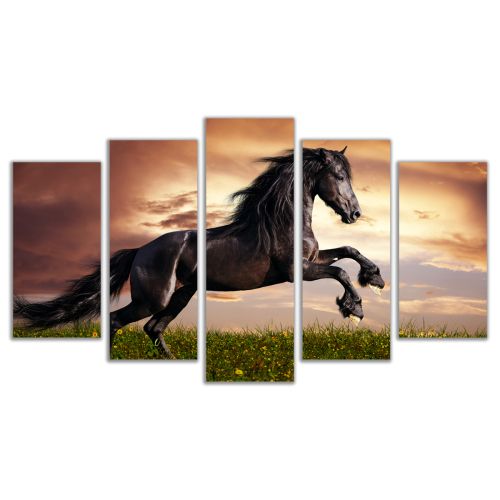 0549 Wall art decoration (set of 5 pieces) Wild horse