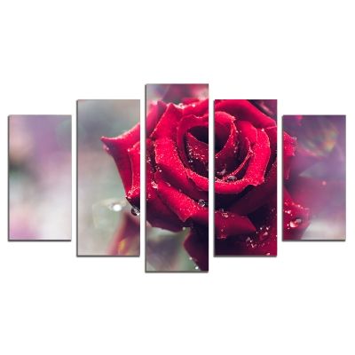 0458 Картина-пано от 5 части Красива роза