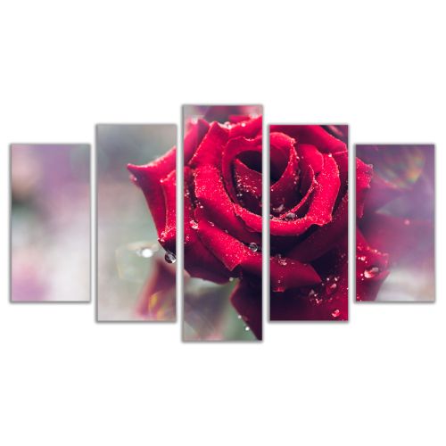 0458 Wall art decoration (set of 5 pieces) Beautiful rose