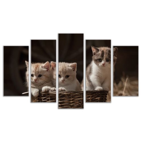 0541 Wall art decoration (set of 5 pieces) Sweet cats