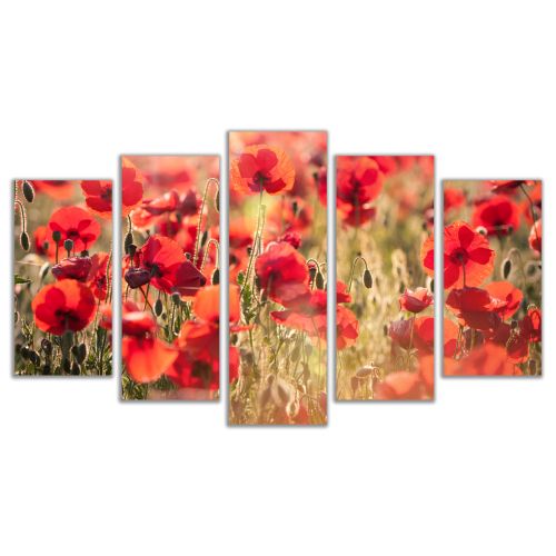 0474 Wall art decoration (set of 5 pieces) Poppies