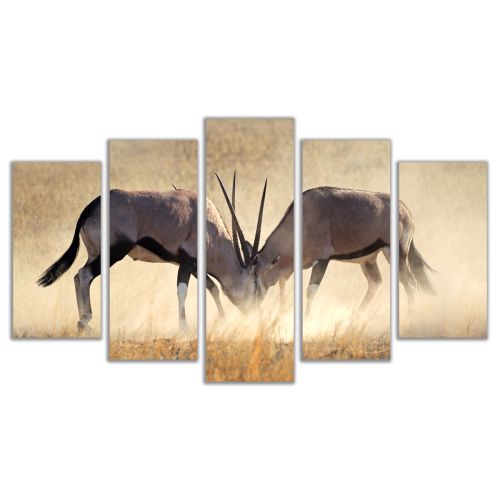 0610 Wall art decoration (set of 5 pieces) Collision