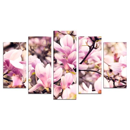 0682 Wall art decoration (set of 5 pieces) Magnolia