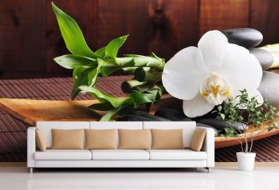 Фототапет за хол с бяла орхидея на кафяв фон