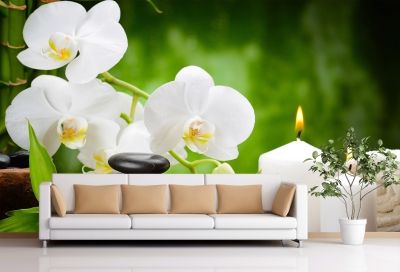 Дзен Фототапет в зелено и бяло за всекидневна с бели орхидеи